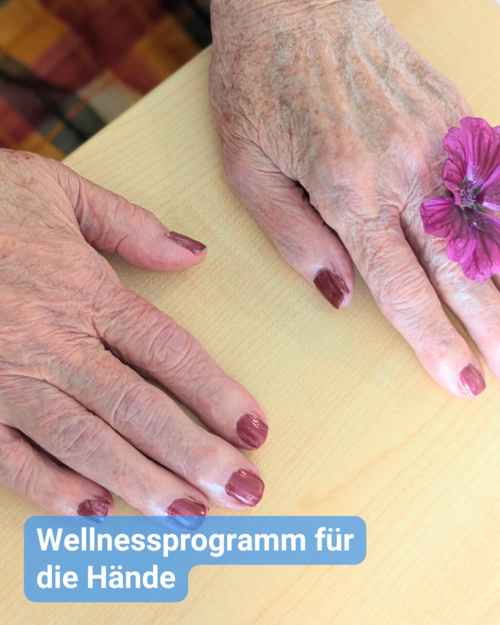 Gepflegte Hände einer älteren Dame mit dunkelrotem Nagellack und einer Blüte auf der linken Hand. Bildbeschriftung: Wellnessprogramm für die Hände